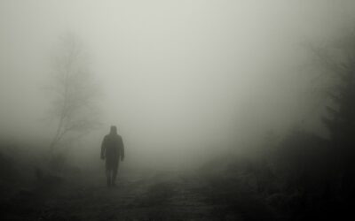 Alta tensión (II)