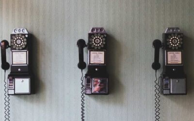 Aclarando conceptos: las voces miméticas